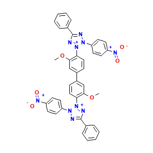 Nitro Blue Tetrazolium